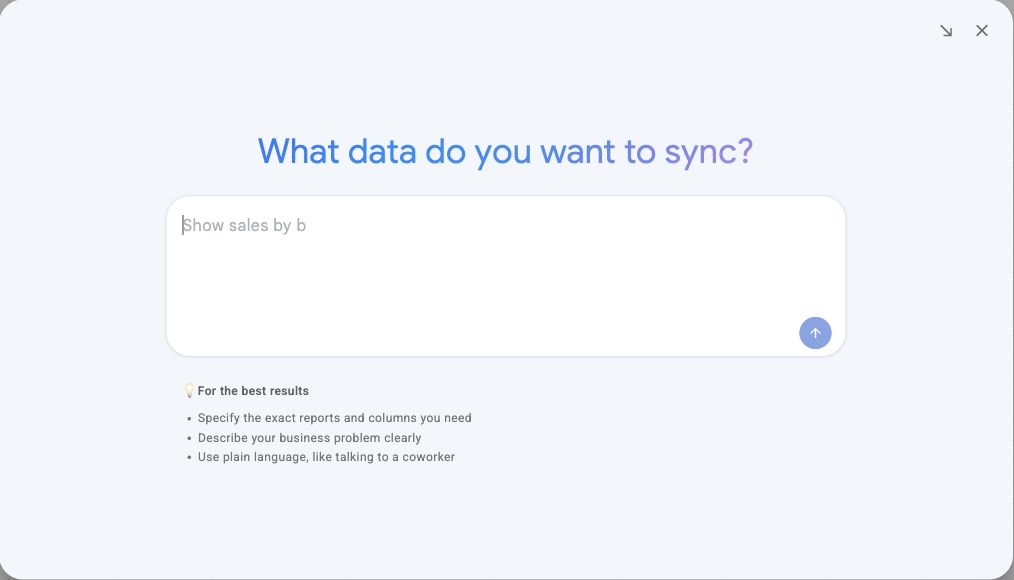 Hopted AI asks what data you want to sync and recommends specifying reports, columns and the business problem